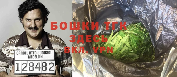 прущие грибы Армянск