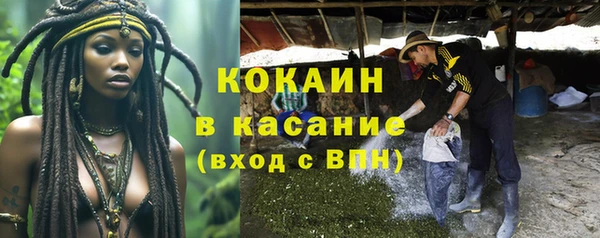прущие грибы Армянск