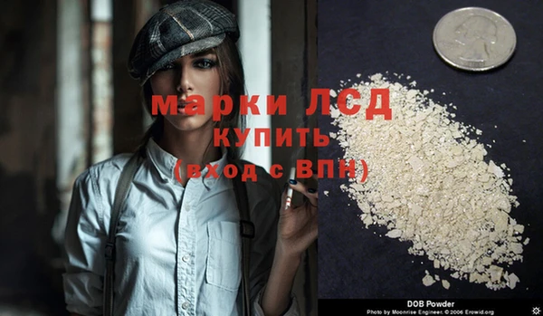 прущие грибы Армянск