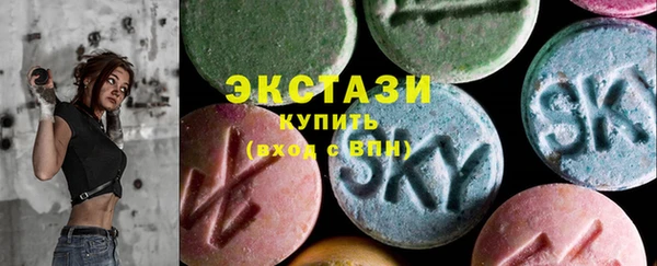 дживик Надым