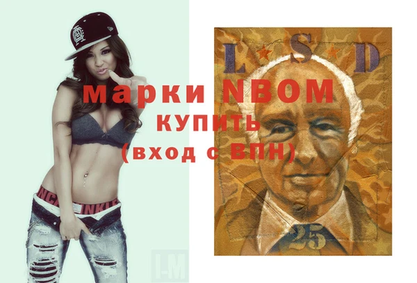 прущие грибы Армянск